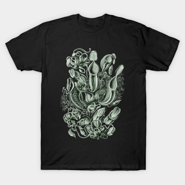 Ernst Haeckel Pitcher Plant Green T-Shirt by Scientistudio